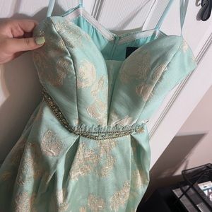 Prom/Quince Dress (Camille La Vie)